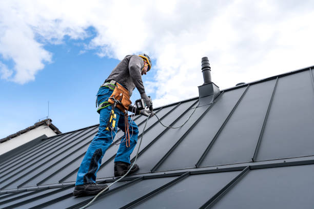 Roof Moss and Algae Removal in Grandview, OH